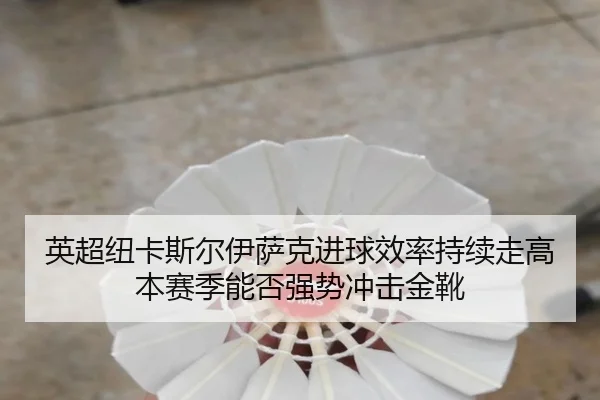 英超纽卡斯尔伊萨克进球效率持续走高本赛季能否强势冲击金靴