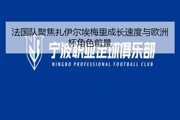 法国队聚焦扎伊尔埃梅里成长速度与欧洲杯角色前景